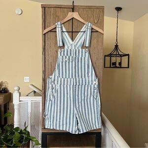 Striped Blue and White Overalls